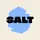 Logo of SALT Christian Dating App