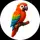 Logo of TripMemo